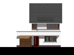 type 1